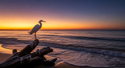 Elegant egret perched on driftwood at sunrise.