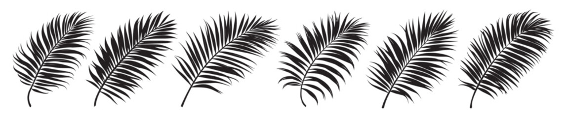 Obraz premium Beautiful palm tree leaf set silhouette background vector illustration. Palm Leaf Silhouette Collection for Nature Design.