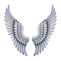 Fototapeta premium Elegant White Angel Wings on Black Background Spiritual and Symbolic Representation of Freedom and Hope Suitable for Design Projects