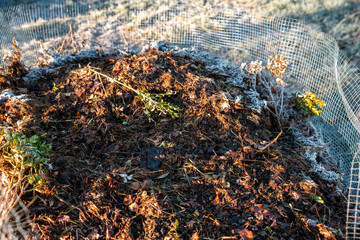 soil Compost pile, organic thermophilic compost turning in Tasmania Australia