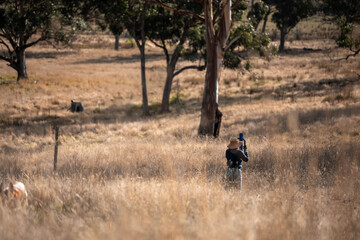 female farmer fencing on a farm reeling a electric fence a farm putting up a steel post fence with high tensile wire in australia women working in agriculture farming