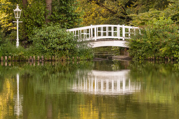 White wooden Bridge over a Pond