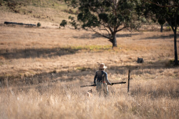 Obraz premium female farmer fencing on a farm reeling a electric fence a farm putting up a steel post fence with high tensile wire in australia women working in agriculture farming