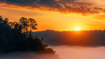 Fototapeta premium Gorgeous sunrise over misty forest landscape with vibrant colors