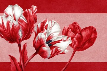 Awareness for Memory Disorders