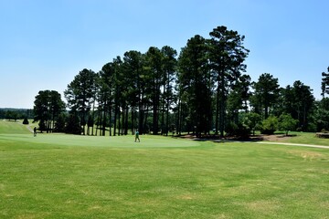golf course in the summer