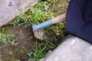 A hand tool efficiently removing unwanted plants, promoting neatness and upkeep. The rustic tool lies among vibrant grass, showcasing garden care and yard maintenance processes in action.