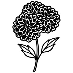 hand drawn flower
