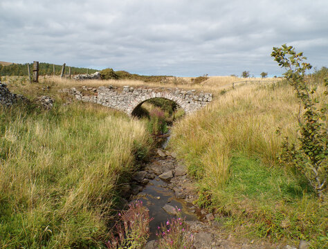 Stone Bridge in a Field