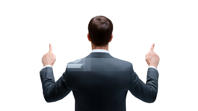 Businessman Presenting Ideas Back View