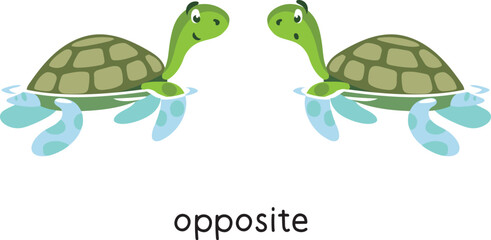 Preposition. Turtles are OPPOSITE each other