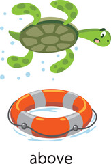Preposition of place. Turtle ABOVE the lifebuoy