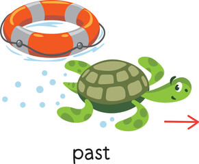 Prepositions. Turtle swims PAST the lifebuoy