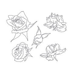 Hand drawn black and white line art rose flowers set isolated clip art