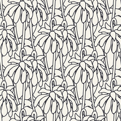 Seamless pattern with black and white canary islands flowers parrot beaks