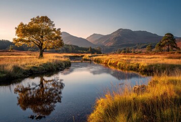 Fototapeta premium FALL SEASON