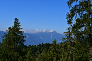 Schöne Landschaft am Salten in Südtirol 