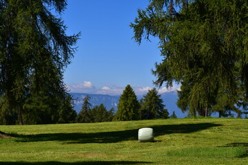 Schöne Landschaft bei Mölten in Südtirol 