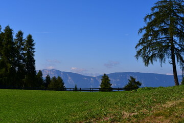 Sch&ouml;ne Landschaft am Salten in S&uuml;dtirol 