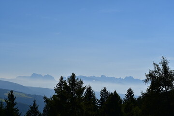 Schöne Landschaft auf dem Salten in Südtirol mit Dolomitenblick 