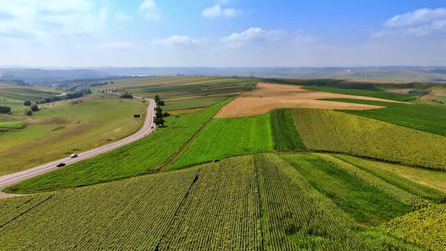 Bright fields beneath blue skies. Wide view of rolling farmland with lush green fields and golden crops under a bright blue sky during the day.