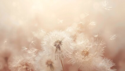 A closeup of a dandelion with seeds blowing in the wind, creating a soft and dreamy atmosphere, evoking feelings of hope, peace, and serenity in a pastel color palette