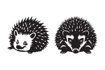 Two cute black and white hedgehogs facing different directions
