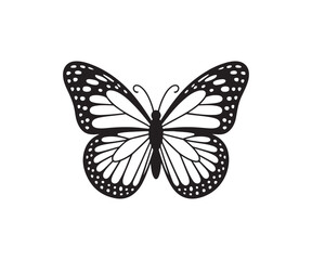 Big butterfly icon, butterfly silhouettes, black and white butterfly, beautiful butterfly logo design, Vector illustration EPS 10.