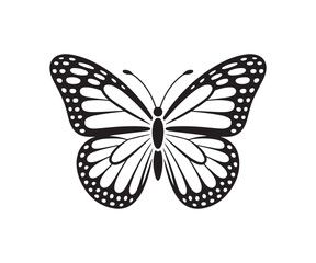 Big butterfly icon, butterfly silhouettes, black and white butterfly, beautiful butterfly logo design, Vector illustration EPS 10.
