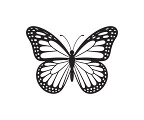 Big butterfly icon, butterfly silhouettes, black and white butterfly, beautiful butterfly logo design, Vector illustration EPS 10.
