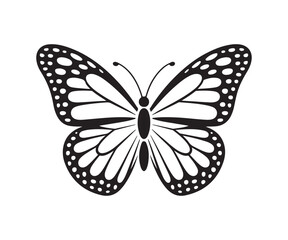 Butterfly icon design, black and white butterfly, butterfly silhouette, vector  illustration EPS 10.