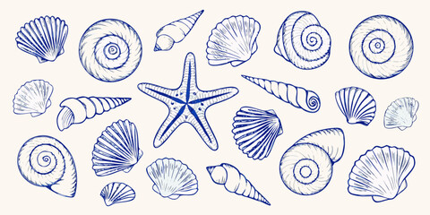 Blue Ink Seashells and Starfish Illustration