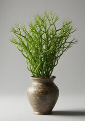 Green Pencil Cactus in Ceramic Vase - Modern Minimalist Decor