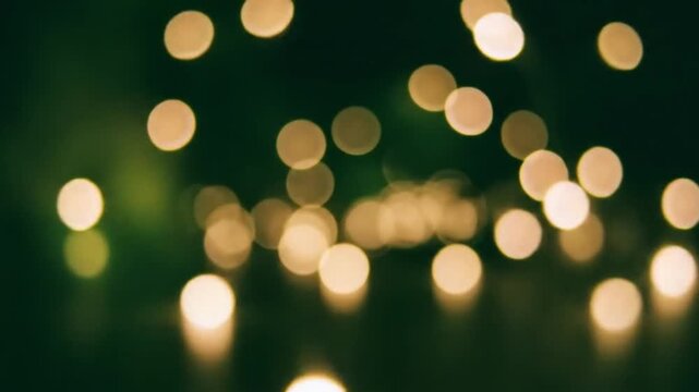Golden bokeh lights shimmering in dark forest