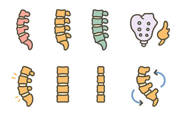 Colorful Spine Illustrations. Flat vector mini-illustrations spine types in colors children's illustrations: cervical spine,