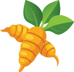 Turmeric root