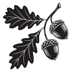 acorn and oak leaves © Rafiq Creatives