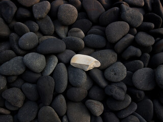 white pebbles broken among black pebbles