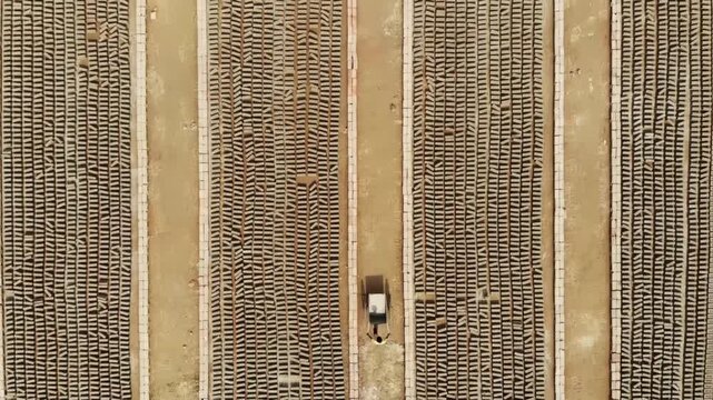 Bogura, Bangladesh - 23 August 2025: Aerial view of endless rows of newly formed bricks baking in the sun, creating a textured pattern across the landscape.