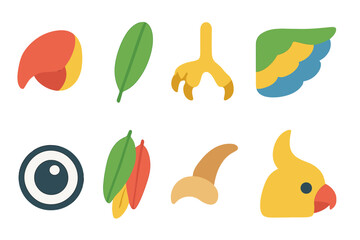 Naklejka premium Colorful Bird Anatomy Icons. Flat vector mini-illustrations bird anatomy in colors children's illustrations: parrot beak, feathers