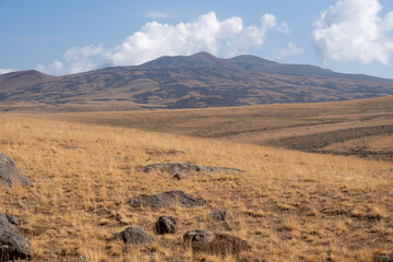 Mountain steppe landscape with dry golden grass and distant peaks