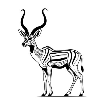 A black and white vector illustration of a beautiful kodu deer, highlighting its long horns and striped body. Perfect for logos, t-shirt designs, and wildlife themes.