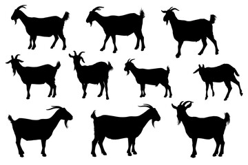 Fototapeta premium Silhouettes of Goats in Various Poses Against a White Background for Creative Use