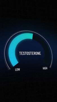 Animated digital testosterone level gauge, graphic presentation, moving from high to low levels, indicator slides down, showing decrease in hormone, medical data concept, health decline. Copy space.