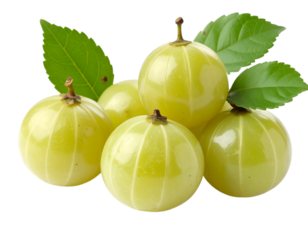 Amla fruit composition: A high-angle, studio shot of five amla fruits with vibrant green color alongside fresh green leaves, capturing the essence of nature's goodness.