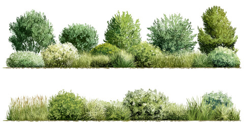 Collection of Beautiful Trees set – Isolated Cottonwood and Plane Trees, Transparent Background for Architectural and Garden Design © appl