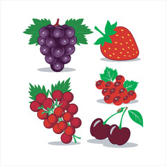 Fresh Red and Purple Fruits Vector Illustration,Colorful Fruit Set with Strawberry Grapes Cherry,Flat Style Berry and Fruit Collection,Assorted Berries and Fruits Vector Design,Cartoon Red Fruits 