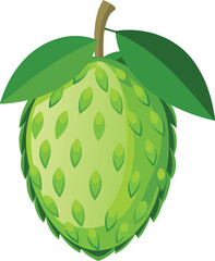 Soursop fruit