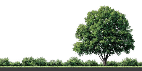 Row of Various Green Trees – Isolated on Transparent and Nature, Forest, and Environment Concept texture vector design on transparent background. © appl