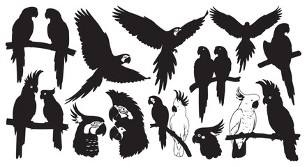 Collection of silhouettes of various parrots and macaws in different poses and flying with wings spread isolated on transparent background © SaHeD